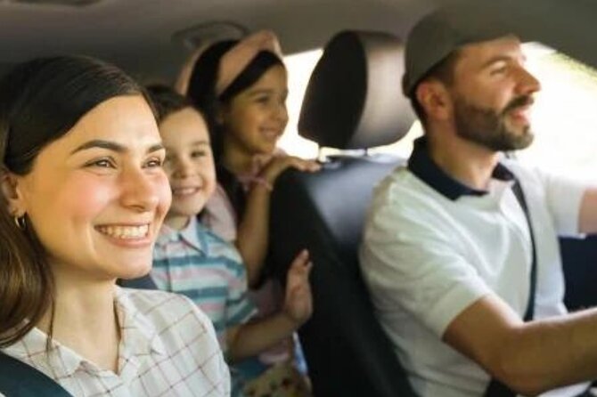 From Reykjavik: Private Transfer to KEF Airport in Iceland - What the service does especially well