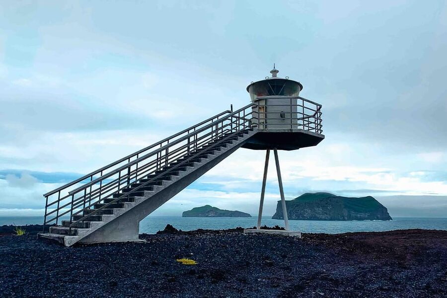 From Reykjavik: Puffin and Volcano Tour in Westman Islands - Free time, then the ferry back