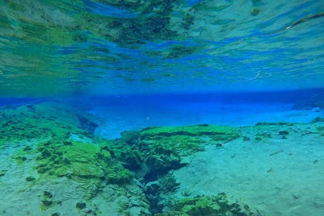 From Reykjavik- Silfra Snorkeling transfer included - Floating through the tectonic fissure