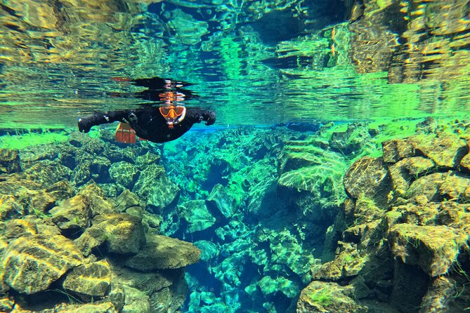 From Reykjavik- Silfra Snorkeling transfer included - Warming up with tea and Icelandic chocolate