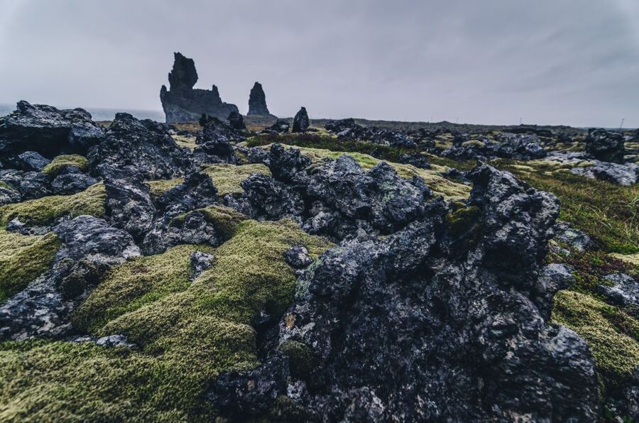 From Reykjavik: Snæfellsnes Full-Day Tour with Homemade Meal - Lunch at the horse ranch