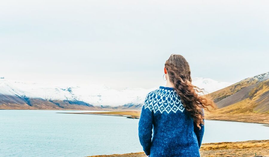 From Reykjavik: Snæfellsnes Full-Day Tour with Homemade Meal - Ytri Tunga and the chance to see seals