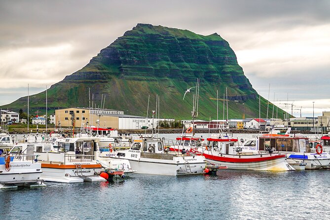 From Reykjavík: Snaefellsnes & Kirkjufell Small Group Day Tour - Ytri Tunga offers seals and a different kind of beach