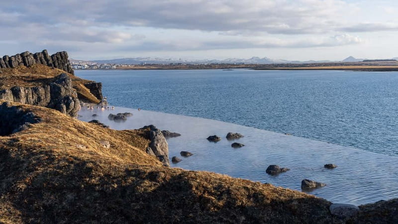 From Reykjavik: South Coast & Sky Lagoon Small-Group Tour - Guides make the long drive easier
