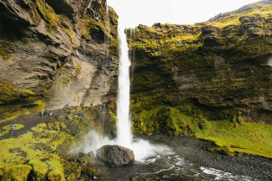 From Reykjavík: Waterfalls, Black Beach & Glacier Day Trip - The optional Solheimajökull glacier hike