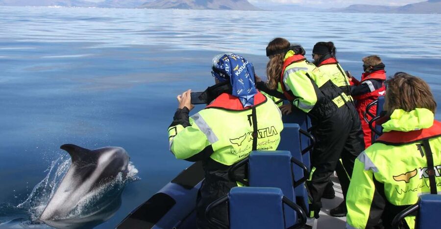 From Reykjavik: Whale Watching Tour by Speedboat - Key points to know before booking
