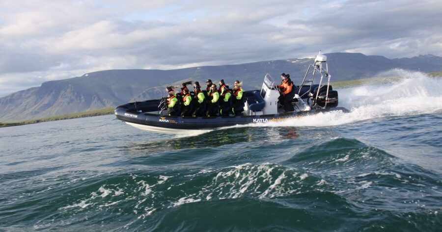 From Reykjavik: Whale Watching Tour by Speedboat - The guide and crew experience