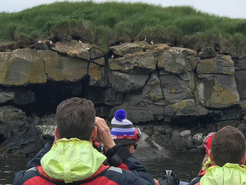 From Reykjavik: Whale Watching Tour by Speedboat - How much value you get for $192