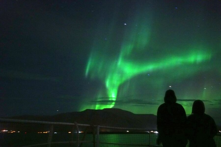 From Reykjavik: Whales and Northern Lights Boat Tour - Is $182 a fair price?