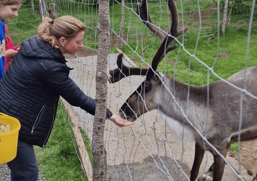 From Seyðisfjörður Port: Stuðlagil Canyon and Reindeer Park - Is $369 a fair price?