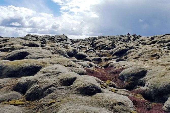 Glacier Lagoon & South Coast. Private Day Tour - Two hours at the lagoon, then a walk on Diamond Beach