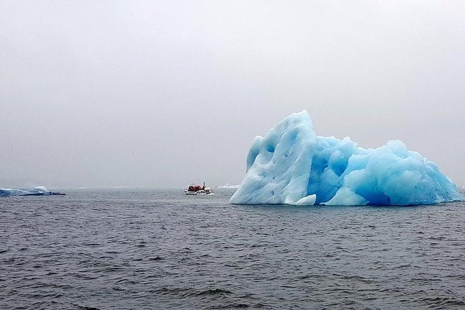 Glacier Lagoon & South Coast. Private Day Tour - A private guide can make the long day work