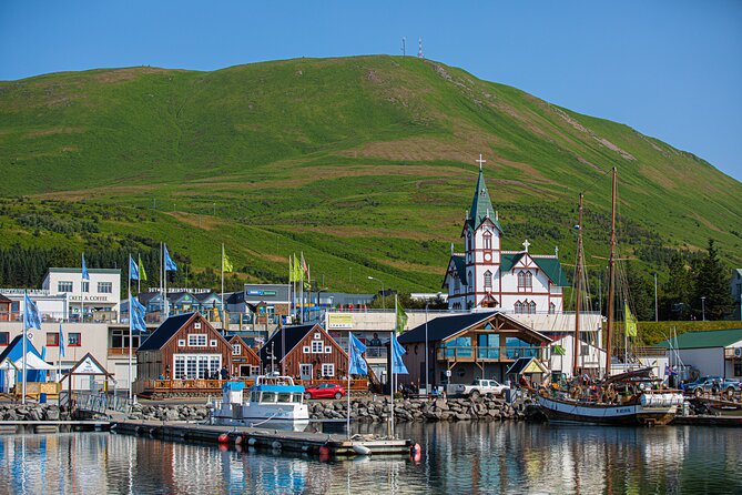 Goðafoss and Húsavík with a stop at the Geosea Baths - Is $88 a Fair Price?