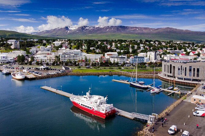 Goðafoss Waterfall & Forest Lagoon from Akureyri Port - Grenjaðarstaður: a useful look inside old Iceland