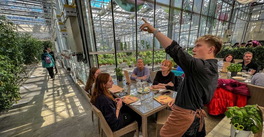 Golden Circle & Lunch at Fridheimar Tomato Farm- with photos - Is the $180 price fair?