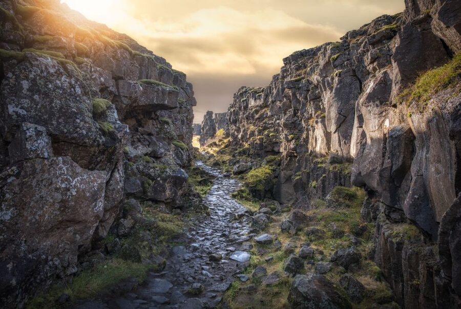 Golden Circle & Lunch at Fridheimar Tomato Farm- with photos - Who will get the most from this tour