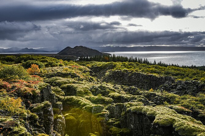 Golden Circle, Secret Lagoon & Friðheimar (Small Group) - Small-group transport and pickup details