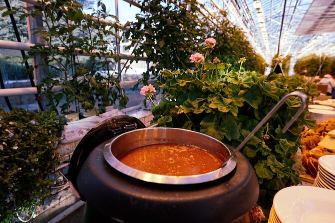 Golden Circle with Tomato Farm Lunch & Secret Lagoon Bathing - Geysir shows Iceland’s heat beneath the ground