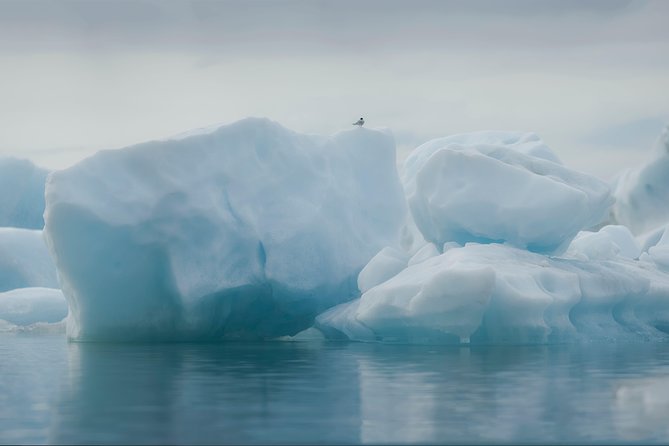 Guided Glacier Lagoon and Diamond Beach Day Trip from Reykjavik - Vík is a practical dinner stop