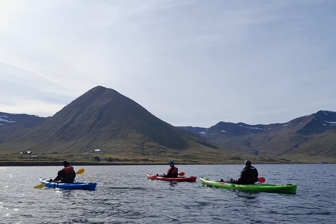 Guided kayak tour in Siglufjörður / Siglufjordur. - Why Siglufjörður looks better from the fjord
