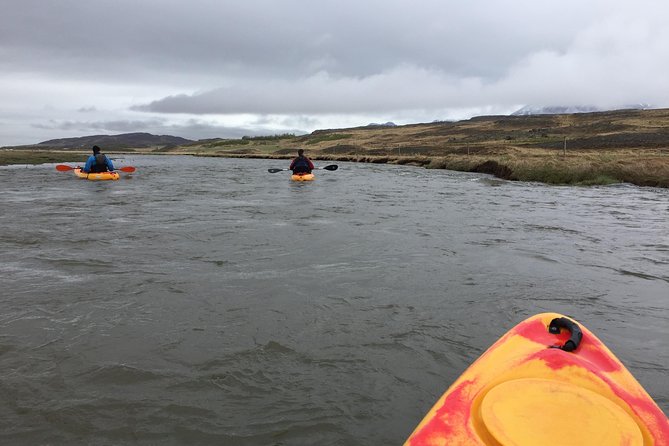 Guided Sit on Top Kayak Tour near Akureyri - Mountain views, wildlife, and the famous horses of Skagafjörður