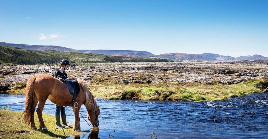 Hafnarfjörður: Horseback Riding Tour in Reykjavik Area - A 50-minute ride through lava fields