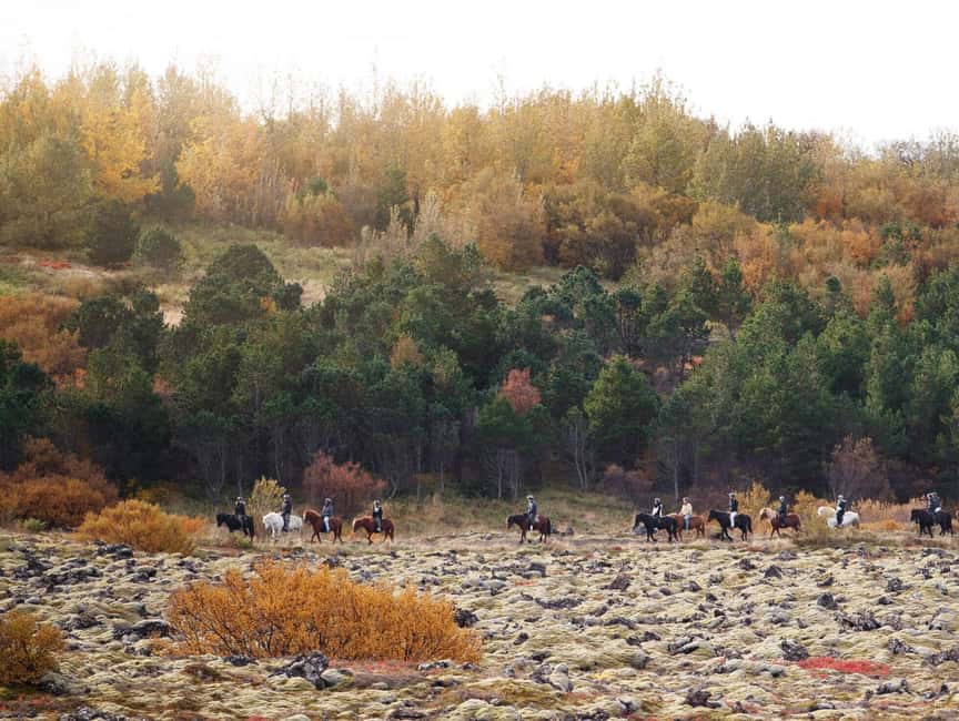 Hafnarfjörður: Horseback Riding Tour in Reykjavik Area - Why the small group size matters
