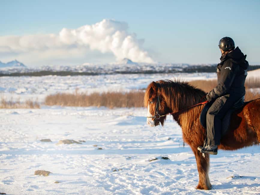 Hafnarfjörður: Horseback Riding Tour in Reykjavik Area - What $132 buys you