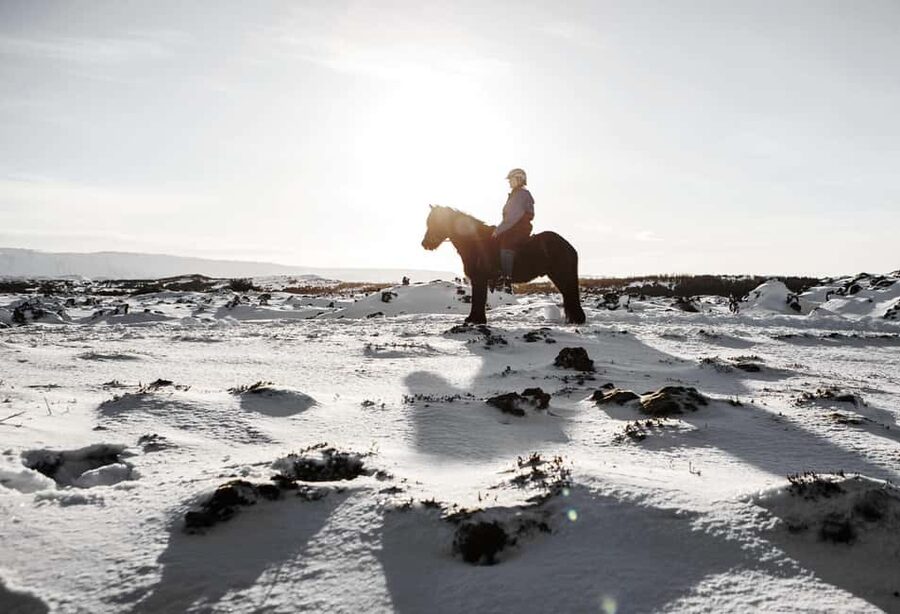 Hafnarfjörður: Horseback Riding Tour in Reykjavik Area - Who will enjoy this ride most