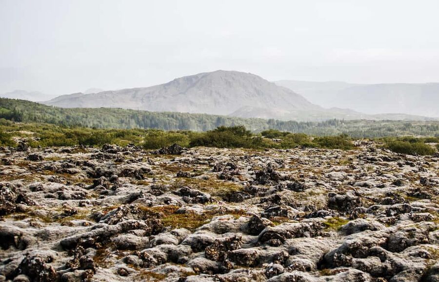 Hafnarfjörður: Horseback Riding Tour in Reykjavik Area - Practical tips for a smoother morning