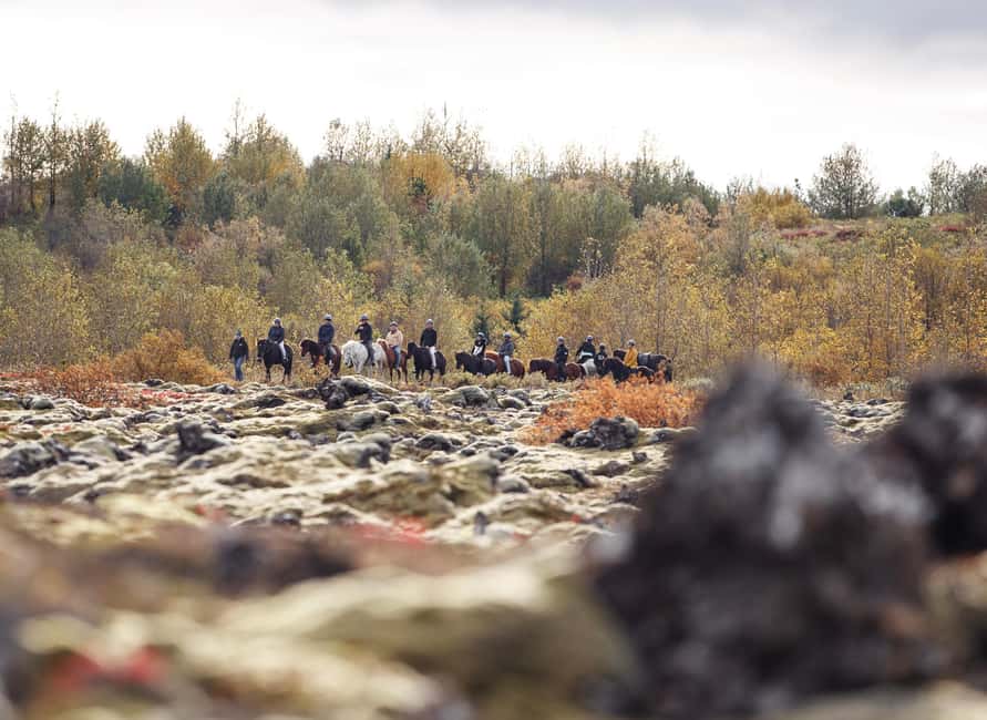 Hafnarfjörður: Horseback Riding Tour in Reykjavik Area - Should you book the Íshestar ride?