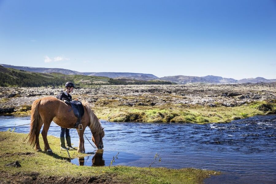 Hafnarfjörður: Horseback Riding Tour in Reykjavik Area - Getting comfortable with the Icelandic horse