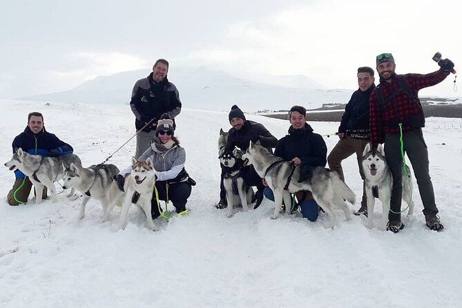Hiking with Husky in Akureyri (private) - What the $1,105.35 group price really means