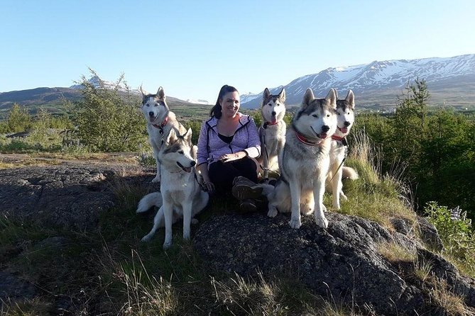 Hiking with Husky in Akureyri (private) - Who will enjoy this private Akureyri experience