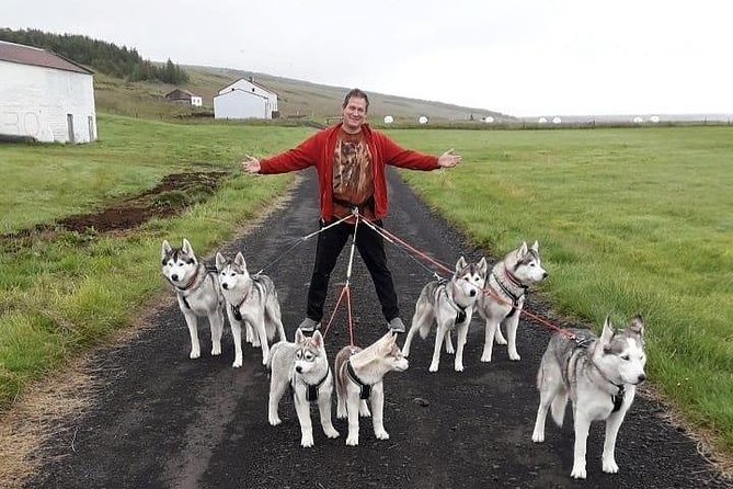 Hiking with Husky in Akureyri (private) - Practical details that affect your day