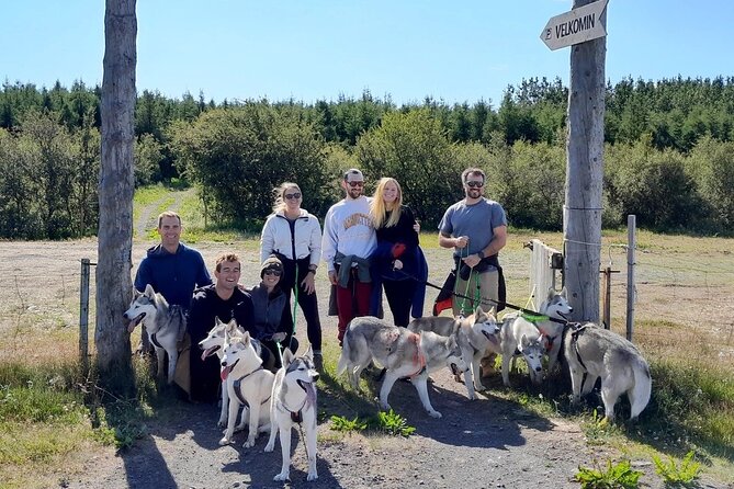 Hiking with Husky in Akureyri (private) - Should you book the goHusky walk?