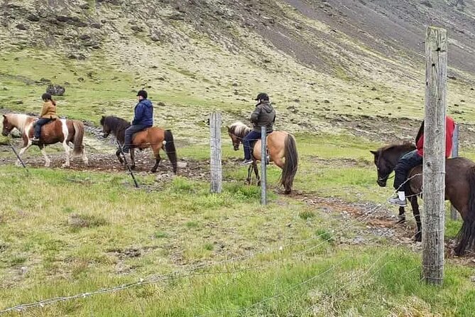 Horse Riding Tour in Reykjadalur (Smoky Valley)-All Riding Levels - From Sólhestar to the open countryside