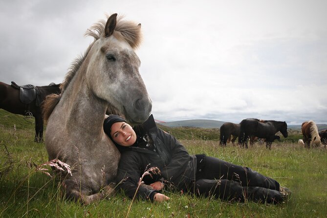 Horseback Riding Tour in Iceland - Who will enjoy this most