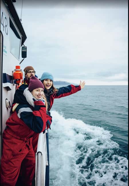 Húsavík: Family-Run and Guided Whale Watching Tour - What you may see in Skjálfandi Bay