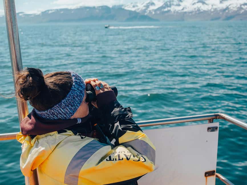 Húsavík: Family-Run and Guided Whale Watching Tour - Planning the day around the tour