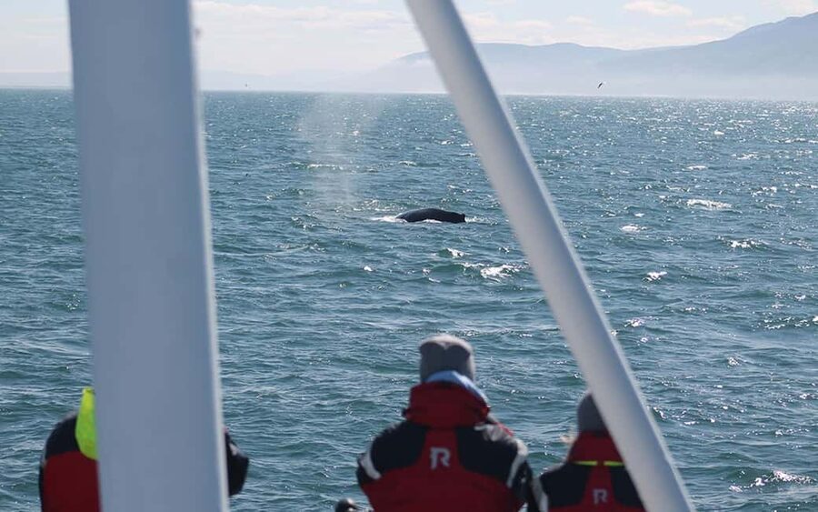 Húsavík: Family-Run and Guided Whale Watching Tour - Crossing the whale grounds toward Kinnarfjöll