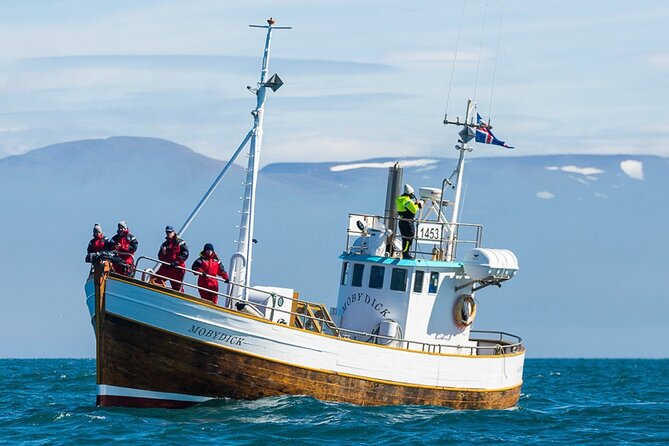 Húsavík Whale Watching Tour, family owned and operated - Key points to know before you book