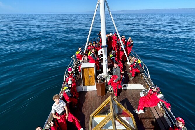 Húsavík Whale Watching Tour, family owned and operated - Why the guide matters on a quiet day