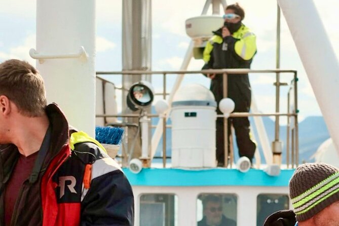 Húsavík Whale Watching Tour, family owned and operated - Moby Dick and the comfort question
