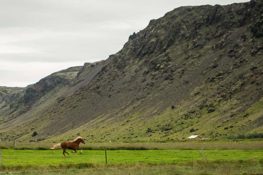Hveragerði: Horseback Riding Tour for Beginners and … - Timing, clothing, and useful preparation