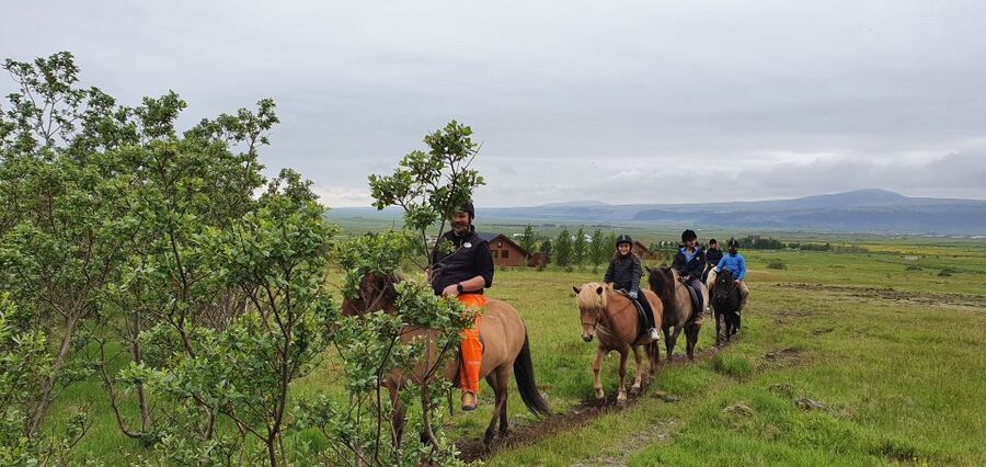 Hveragerdi: Reykjadalur (Hotspring Valley) Horse Riding Tour - Riding Iceland’s special horse near Hveragerdi