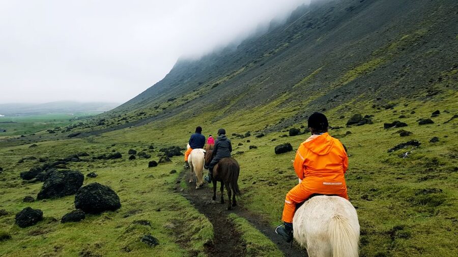 Hveragerdi: Reykjadalur (Hotspring Valley) Horse Riding Tour - What the two-hour outing actually includes