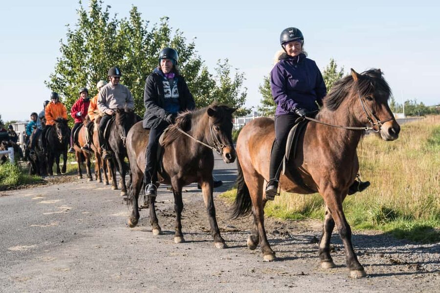 Hveragerdi: The Siggi Horse Riding Tour - What the Two-Hour Schedule Looks Like