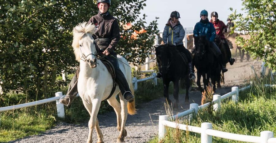 Hveragerdi: The Siggi Horse Riding Tour - Gear, Clothing, and Small Practical Rules