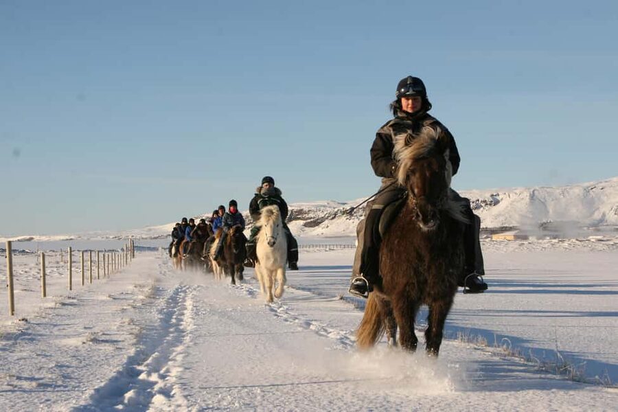 Hveragerdi: The Siggi Horse Riding Tour - The Value of the $132 Price
